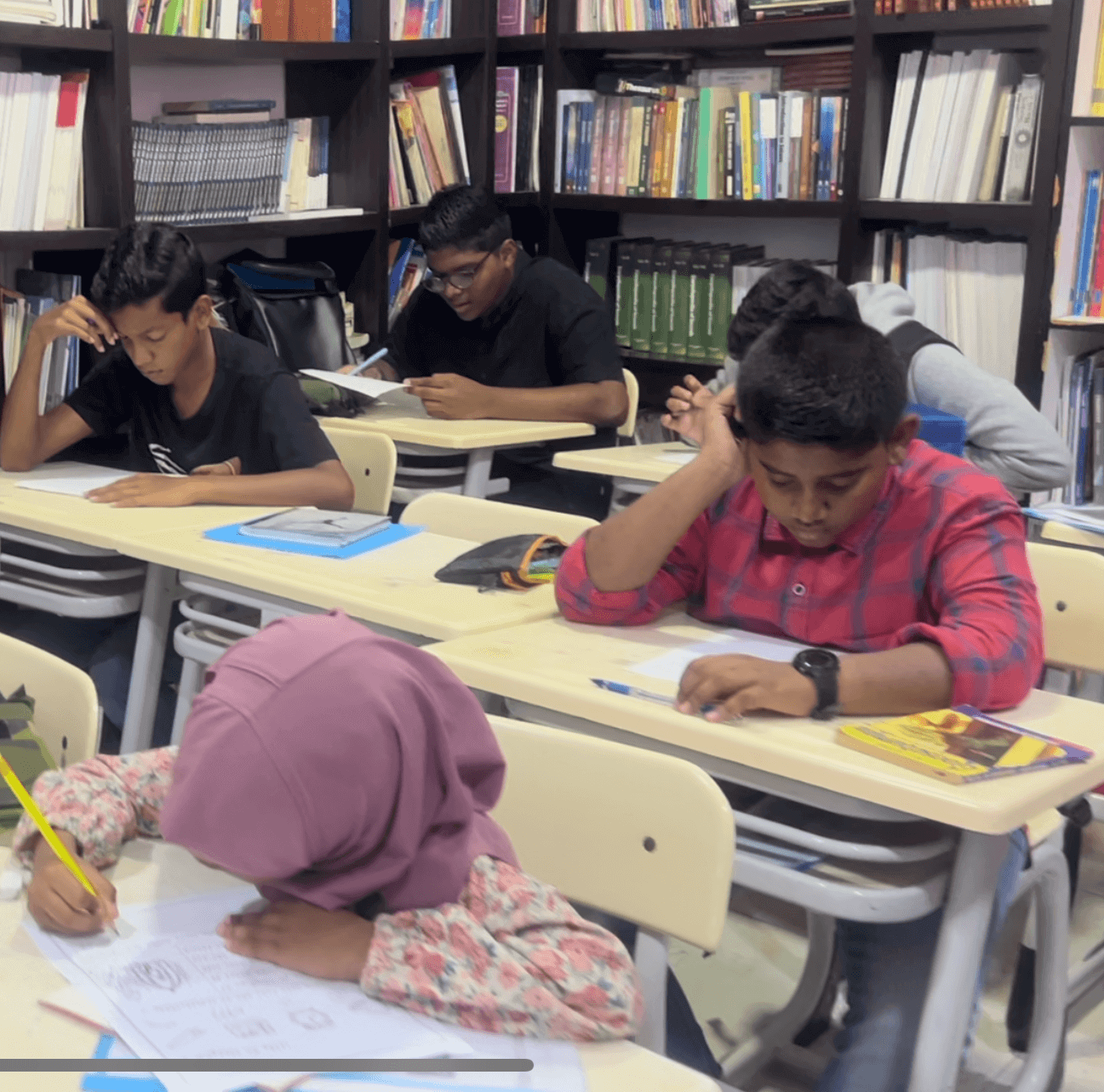 Subject Coaching Packages Gr.8